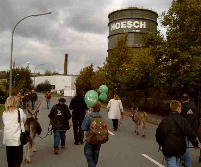 Hier geht es zur Eselwanderung beim Tag der offenen Tr Fa. Wilo-Pumpen in Dortmund