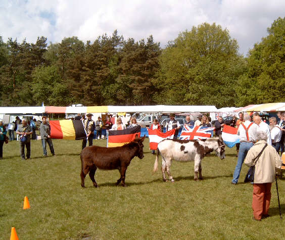Festwochenende zum 15jhrigen Bestehen von de ezelvriend in Epe (NL) vom 20. bis 22. Mai 2005