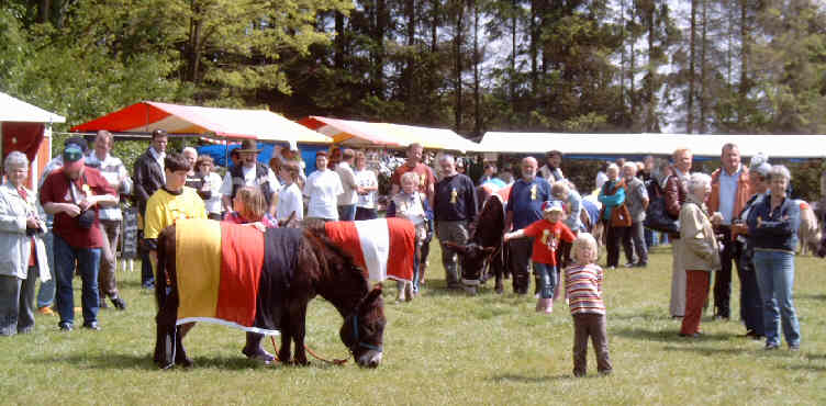 Bei der Flaggenparade