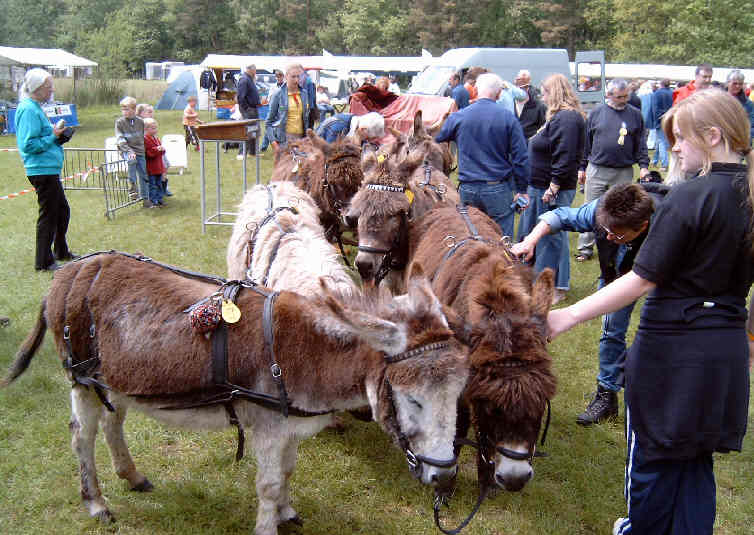 Vorbereitungen zum acht-spnnigen Fahren