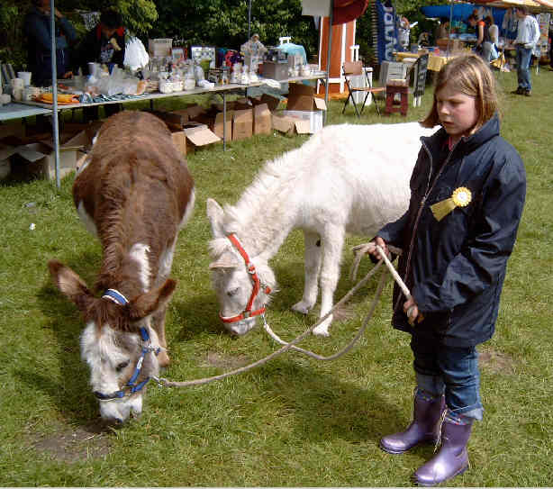 Gaby wartet auf Eselspiele
