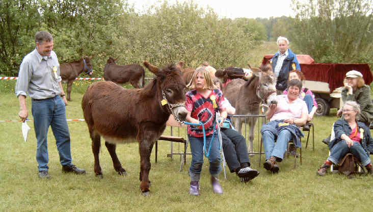 Bei den Eselspielen