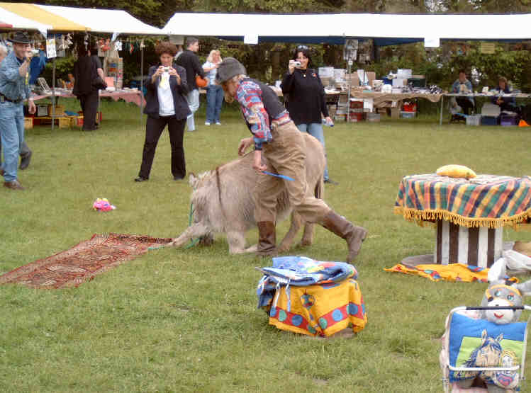 Bei den Eselvorfhrungen