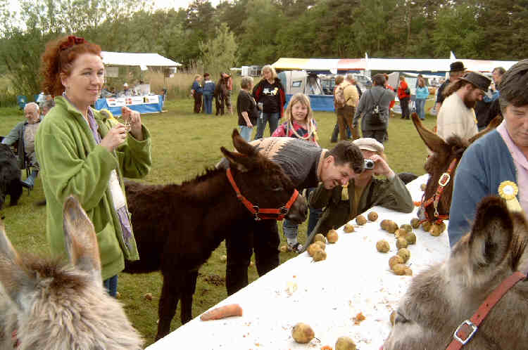 Das berhmte Esellunch