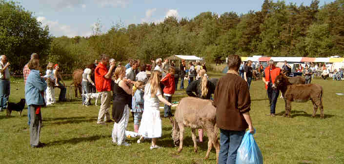 Vorfhrungen mit Esel