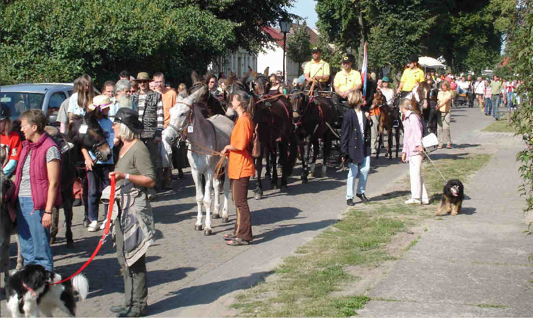 Festumzug durch Paaren