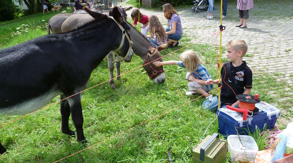 Freilichtmuseum Hagen, 01.08.2010