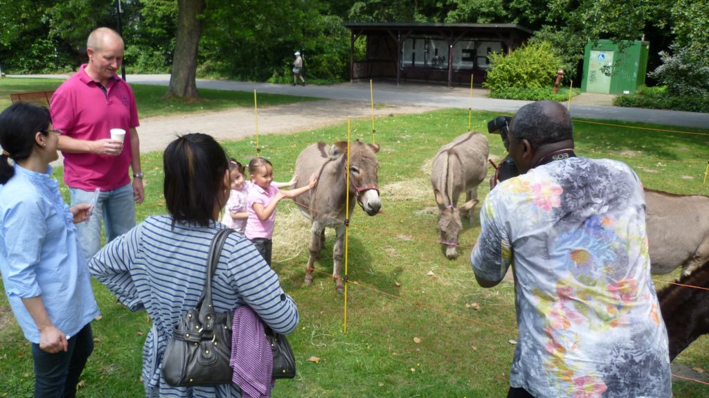 Hoeschpark 2011 Esel