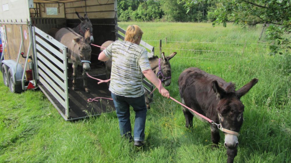 Zurck im Wannebachtal