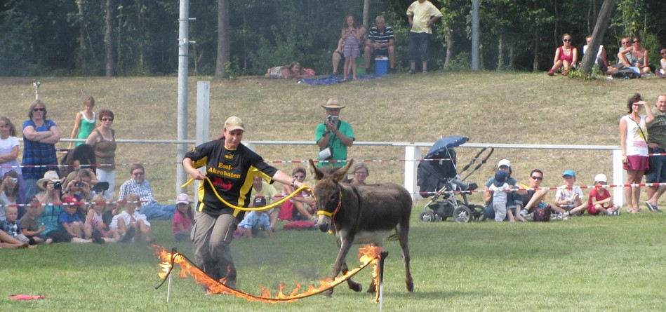 Forst 2012 Showprogramm