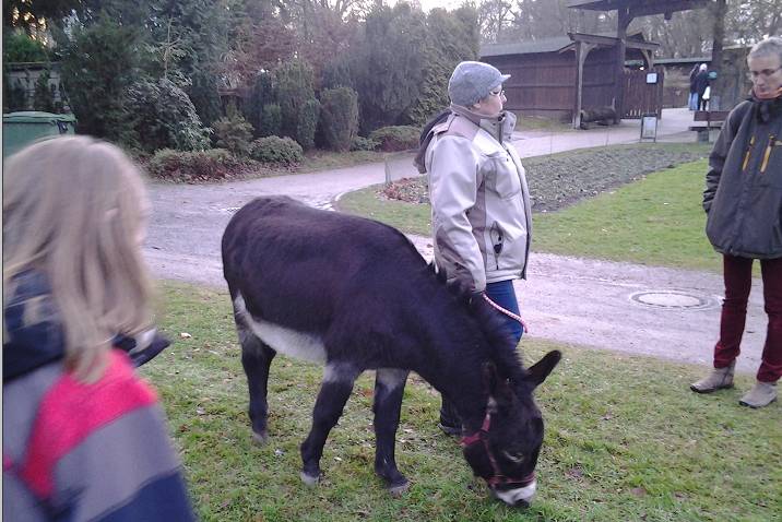 Felix 2012 Hohenstein