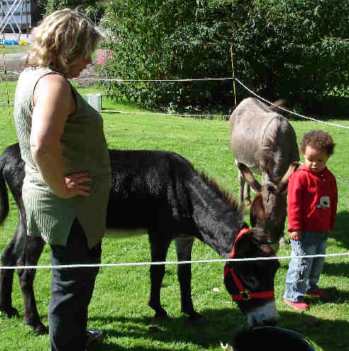 Dortmund, Im Hoesch-Park, Sep.2006