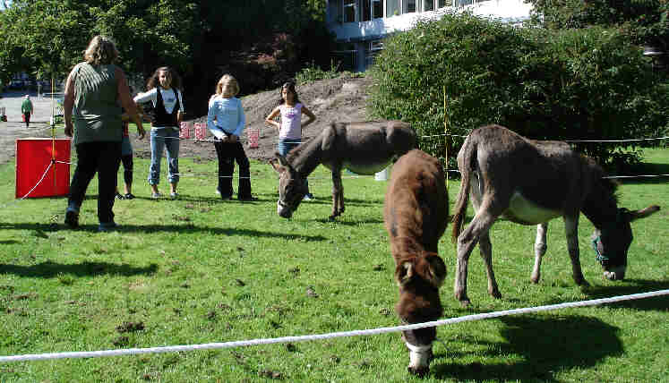 Dortmund, Im Hoesch-Park, Sep.2006