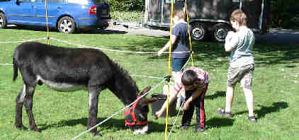 Dortmund, Im Hoesch-Park, Sep.2006