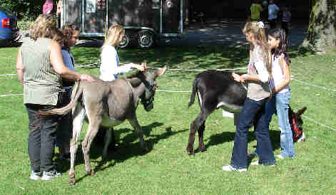 Dortmund, Hoesch-Park, Sep. 2006