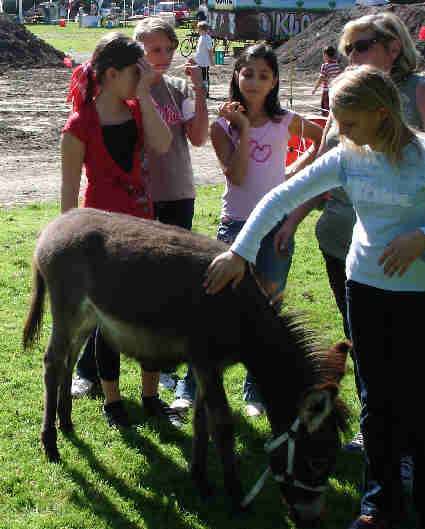 Dortmund, Im Hoesch-Park, Sep.2006
