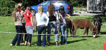 Dortmund, Im Hoesch-Park, Sep.2006