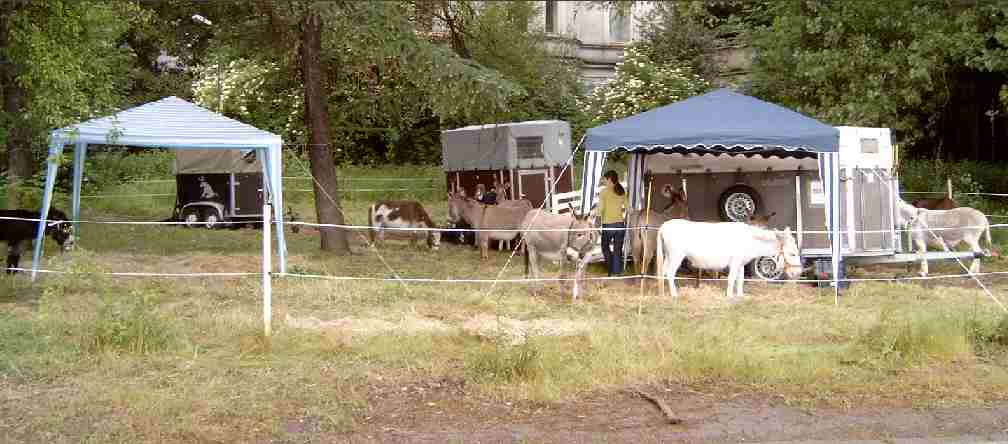 5.  Eselwanderung ber das Phoenixgelnde in Dortmund Hrde vom 4. bis 6. Juni 2004