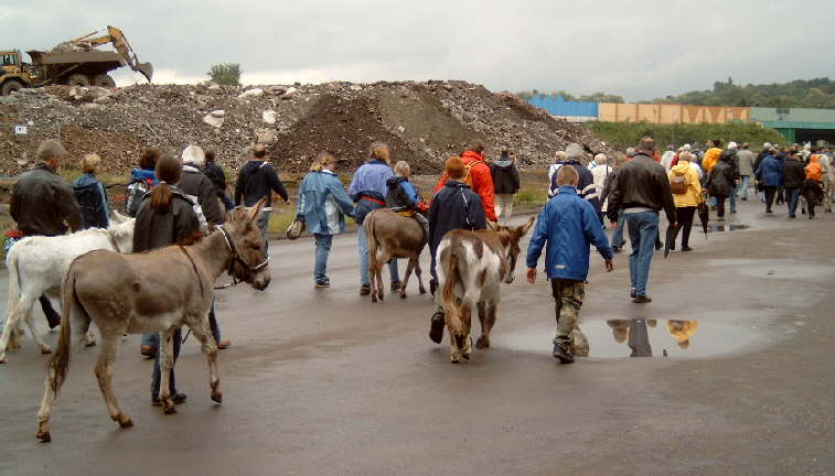 Hier geht es zur 5. Eselwanderung in Dortmund