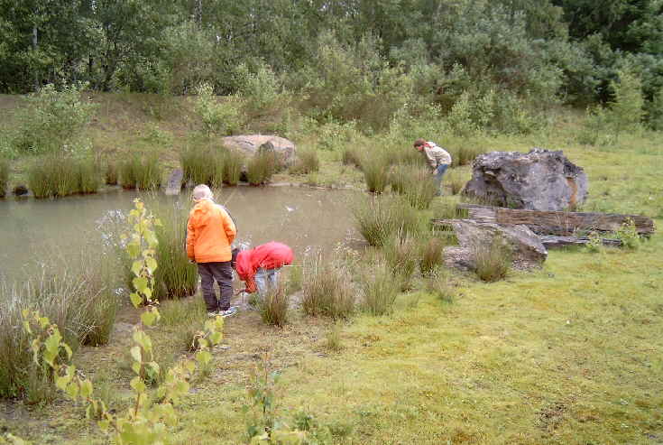 5.  Eselwanderung ber das Phoenixgelnde in Dortmund Hrde vom 4. bis 6. Juni 2004