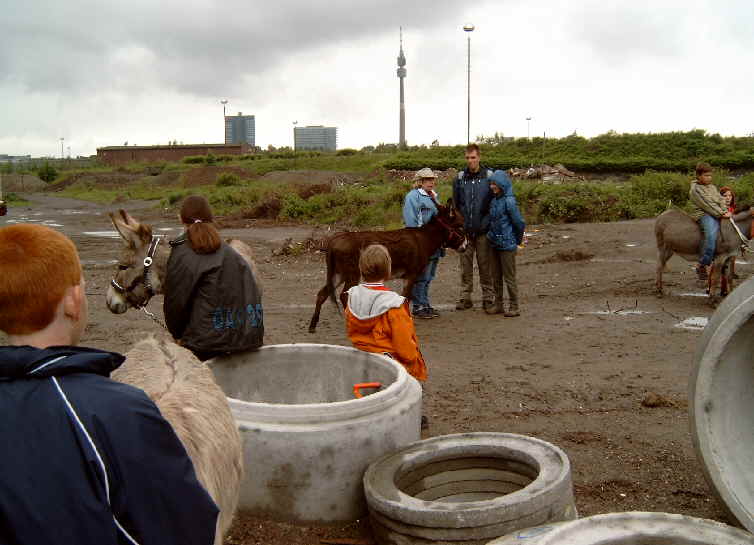 5.  Eselwanderung ber das Phoenixgelnde in Dortmund Hrde vom 4. bis 6. Juni 2004
