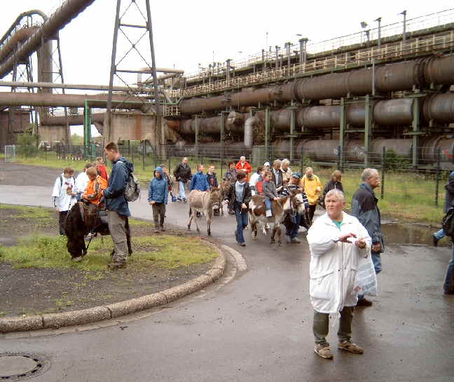 5.  Eselwanderung ber das Phoenixgelnde in Dortmund Hrde vom 4. bis 6. Juni 2004