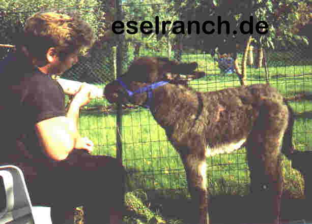 Macho bekommt seine Flasche